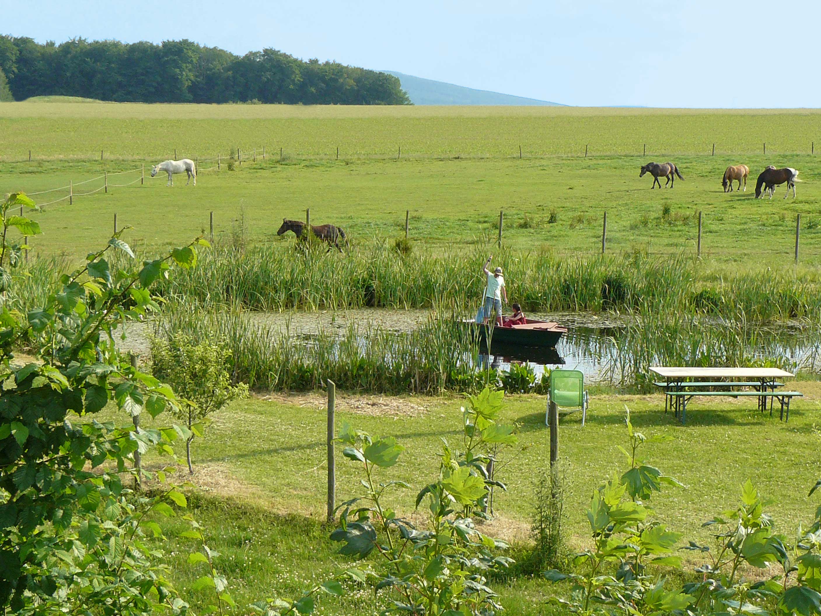 Hintergrundbild